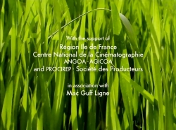 خیلی خیلی کوچک (1) (آواز زنجره)